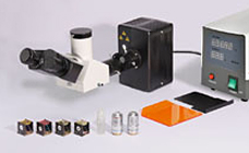 位相差顕微鏡｜BX-2700TPHL｜レイマー顕微鏡オンラインショップ
