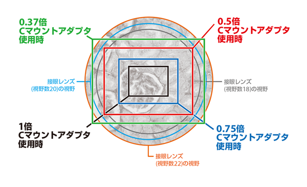 センサーサイズ1/2インチカメラ撮影範囲例