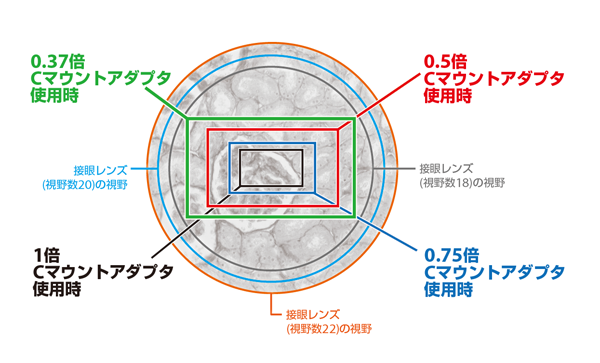 センサーサイズ1/3インチカメラ撮影範囲例